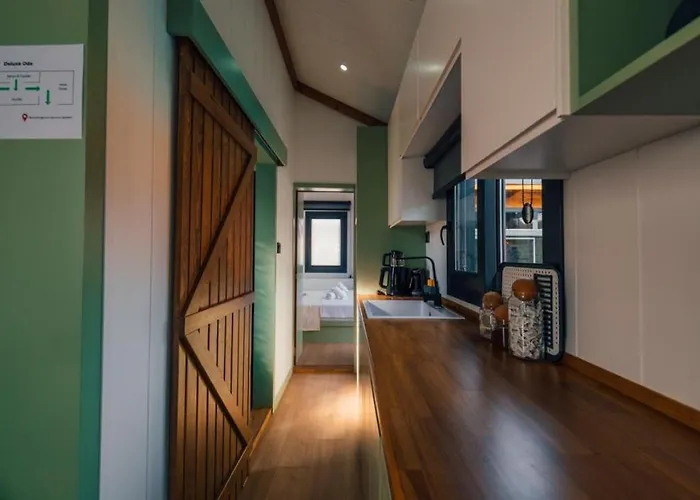 The Now * ספנג'ה